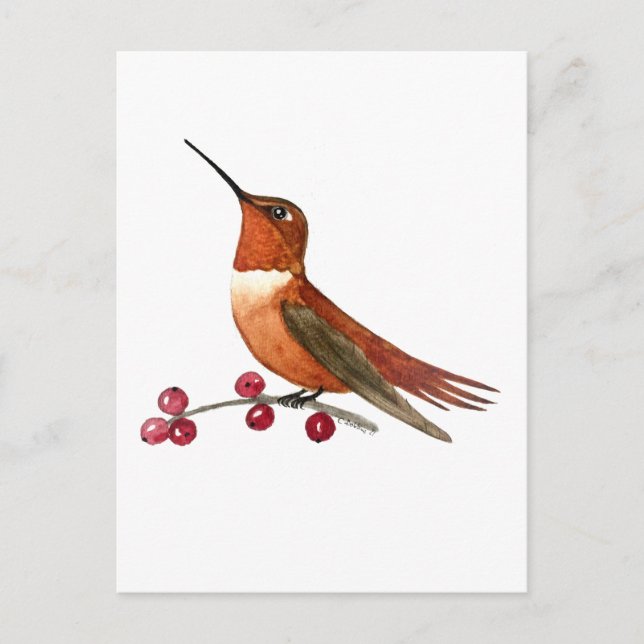 Postal Colibrí rufo (Anverso)