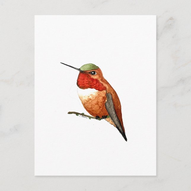 Postal Colibrí Rufo (Anverso)