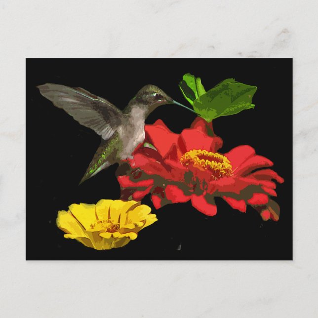 Postal Colibrí sobre Zinnias (Anverso)