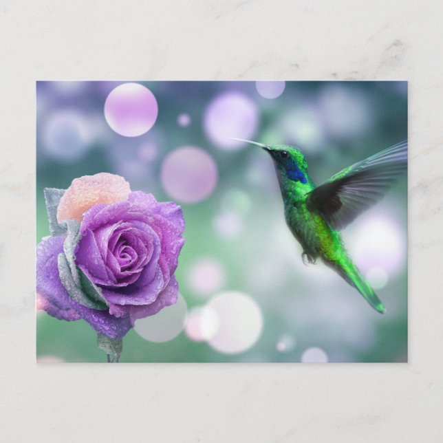 Postal Colibrí y Rosa - Verde y Rosa (Anverso)