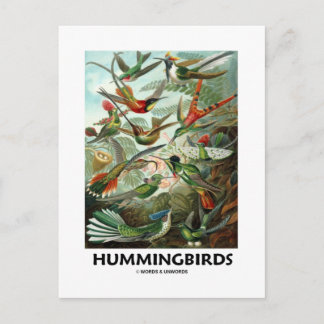 Postal Colibríes