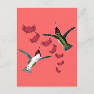 Postal Colibríes Corazones Caprichosos con Alas