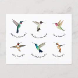 Postal Colibríes de Norteamérica