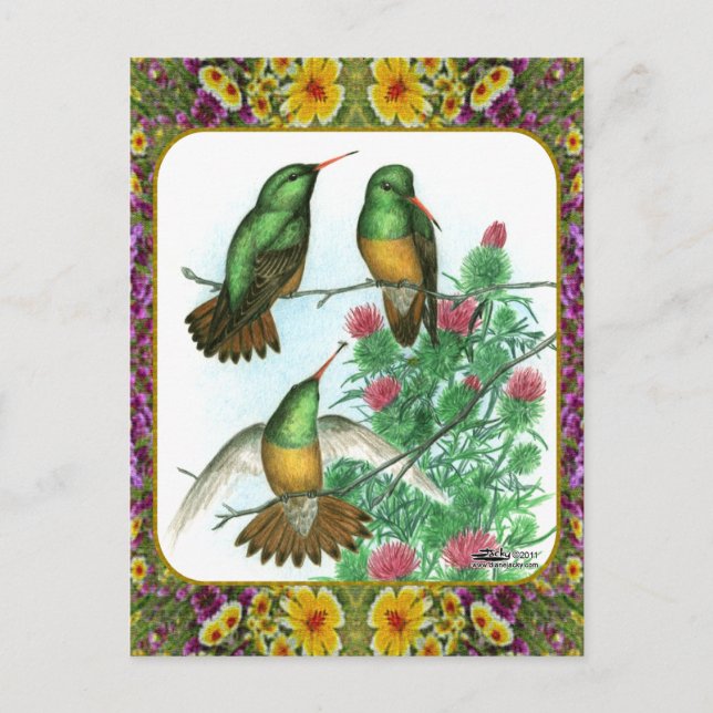 Postal Colibríes y Flores #1 (Anverso)