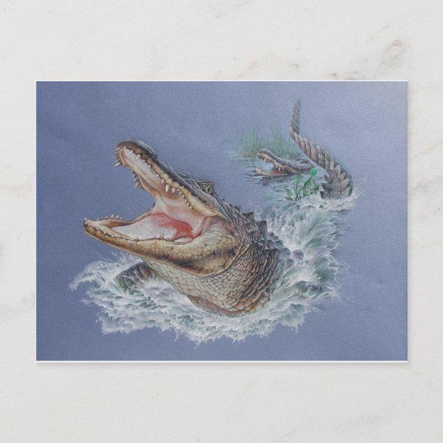 Postal Coligador de Florida (Anverso)