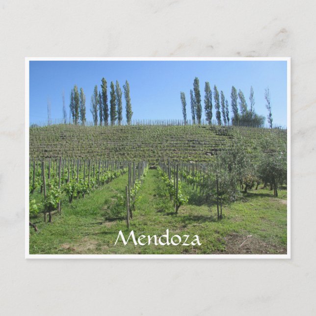 Postal colina mendoza (Anverso)