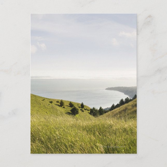 Postal Colinas costeras, Montaña Bolinas, California (Anverso)