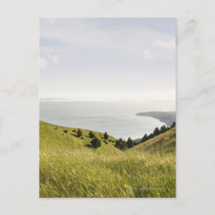 Postal Colinas costeras, Montaña Bolinas, California