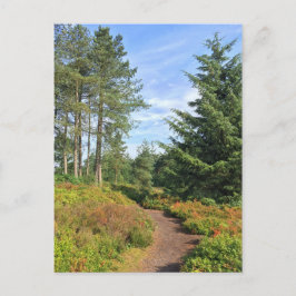 Postal Colinas Lickey