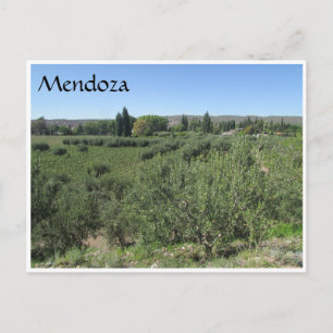 Postal colinas verdes de mendoza