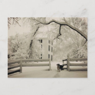 Postal Colirio de borde