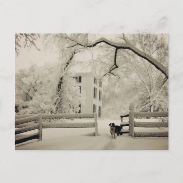 Postal Colirio de borde (Anverso)