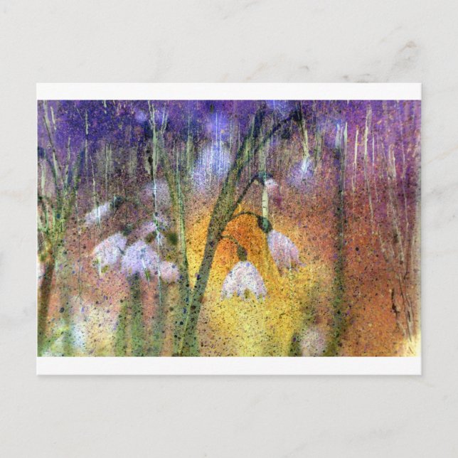 Postal Colirio de nieve (Anverso)