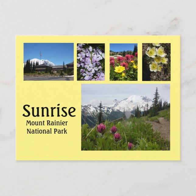 Postal Collage 2 de Sunrise (Monte Rainier) (Anverso)