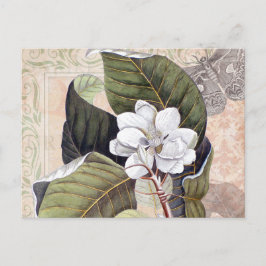 Postal Collage botánico vintage con Magnolia