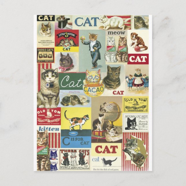 Postal Collage chats vintage (Anverso)
