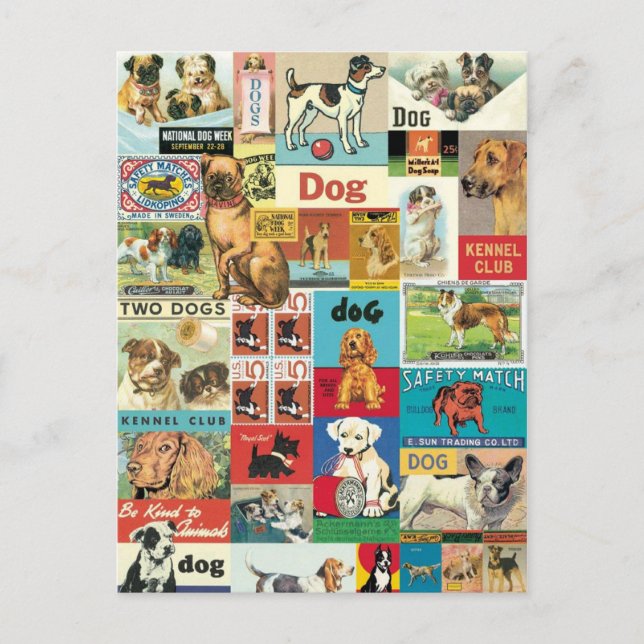 Postal Collage chiens vintage (Anverso)