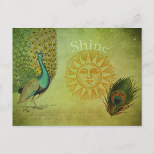 Postal Collage de arte del pavo real