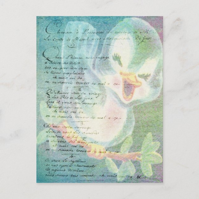 Postal Collage de arte digital de aves de la época (Anverso)