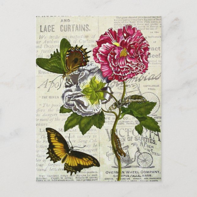 Postal Collage de bonito (Anverso)