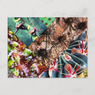 Postal Collage de Cactus