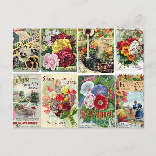 Postal Collage de catálogos de semillas de flores de époc (Anverso)