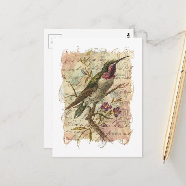 Postal Collage de colibrí vintage (Anverso/Reverso In Situ)