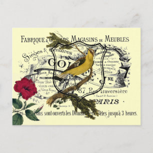 Postal Collage de Ephemera de Aves Amarillas Vintadas