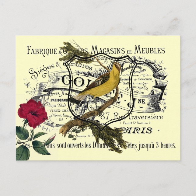 Postal Collage de Ephemera de Aves Amarillas Vintadas (Anverso)