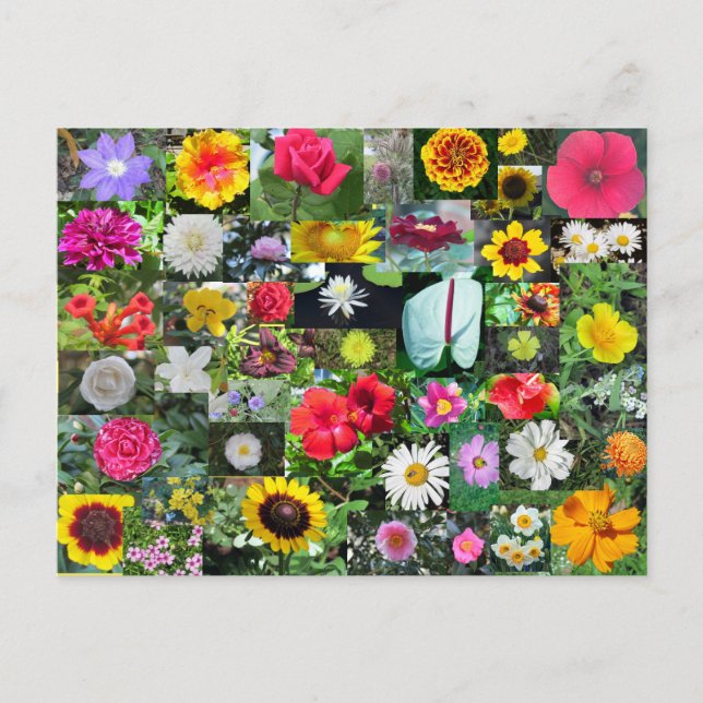 Postal Collage de flor (Anverso)