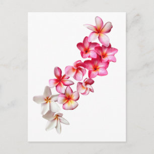 Postal Collage de flores de Plumeria