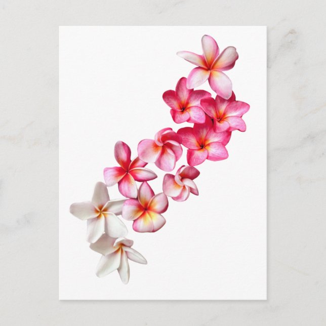 Postal Collage de flores de Plumeria (Anverso)