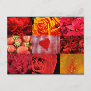 Postal Collage de fotografías rojas