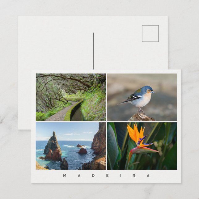 Postal Collage de fotos de la isla de Madeira, viajes mod (Anverso / Reverso)