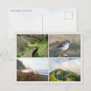 Postal Collage de fotos de la isla de Madeira, viajes mod