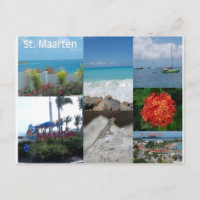 Collage de fotos de Maarten del santo por