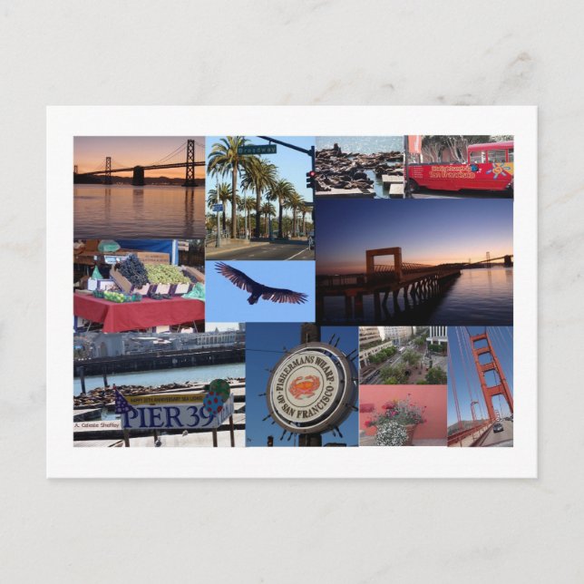 Postal Collage de fotos de San Francisco (Anverso)