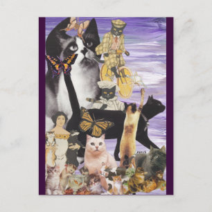 Postal Collage de gato 4