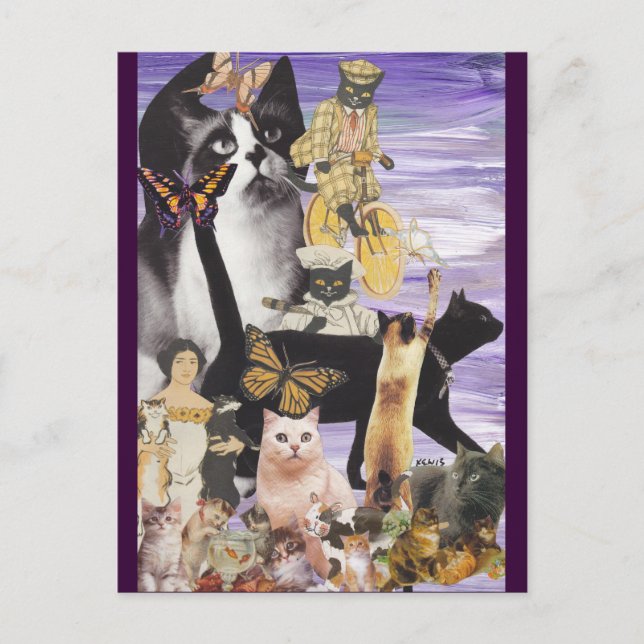 Postal Collage de gato 4 (Anverso)