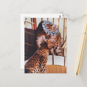 Postal Collage de Grandes Felinos Reales