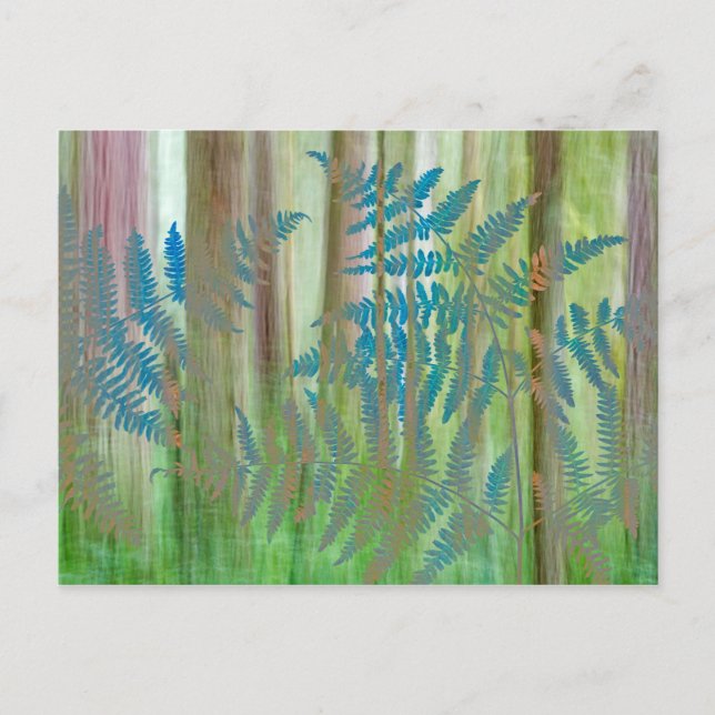 Postal Collage de helechos y bosque de Bracken | Seabeck, (Anverso)