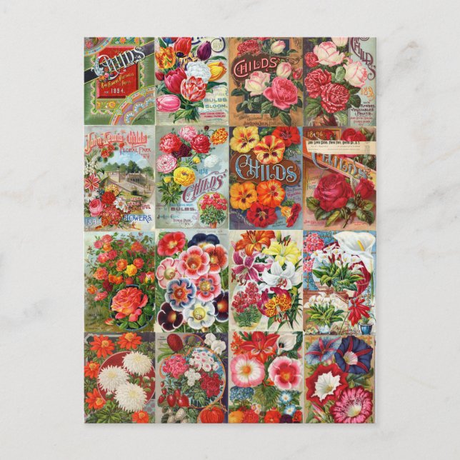 Postal Collage de jardin de plaquetas de flores de época (Anverso)