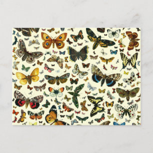 Postal Collage de la mariposa