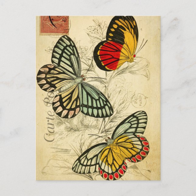 Postal Collage de mariposas francesas antiguas (Anverso)