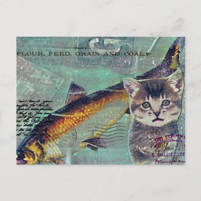 Postal Collage de medios mixtos de gato (Anverso)