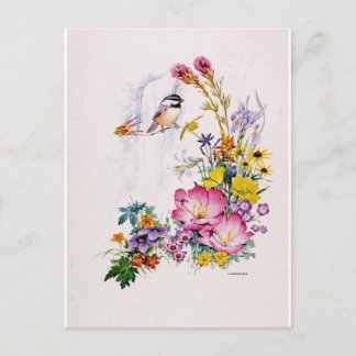 Postal Collage de Mountain Chickadee
