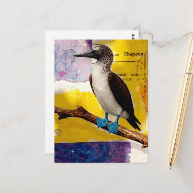 Postal Collage de Pájaro de Patas Azules (Anverso/Reverso In Situ)
