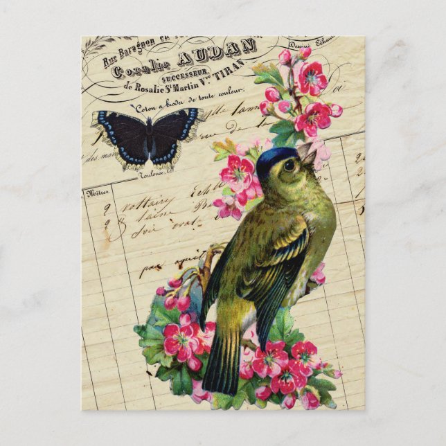 Postal Collage de pájaro de primavera de la Moda francesa (Anverso)