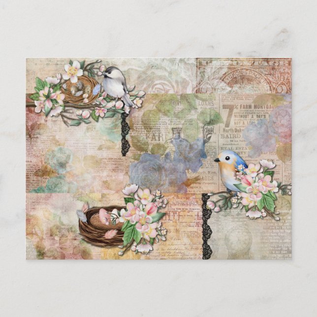 Postal Collage de pájaros y efímeras vintage (Anverso)