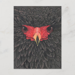Postal Collage de papel de retrato africano de aves águil